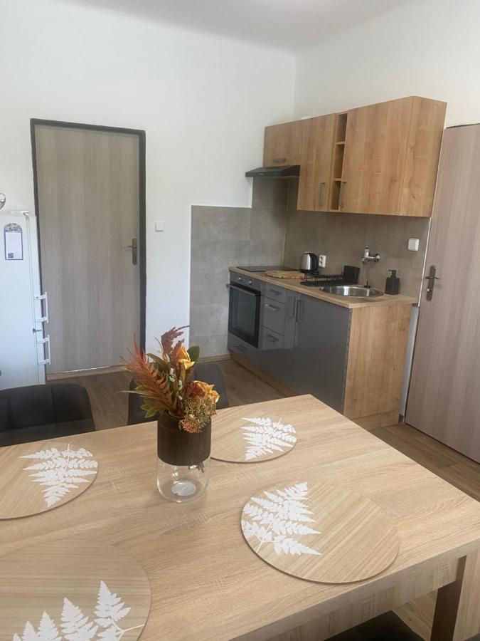 Cerna Ruze - Apartman 3 Plzeň Extérieur photo